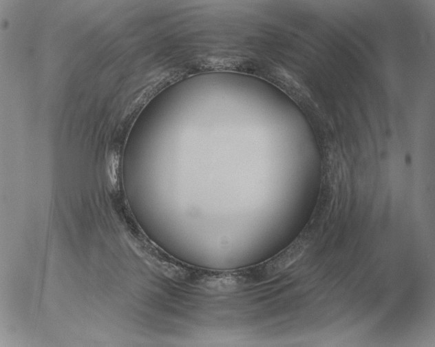 X0000053110075200508012136