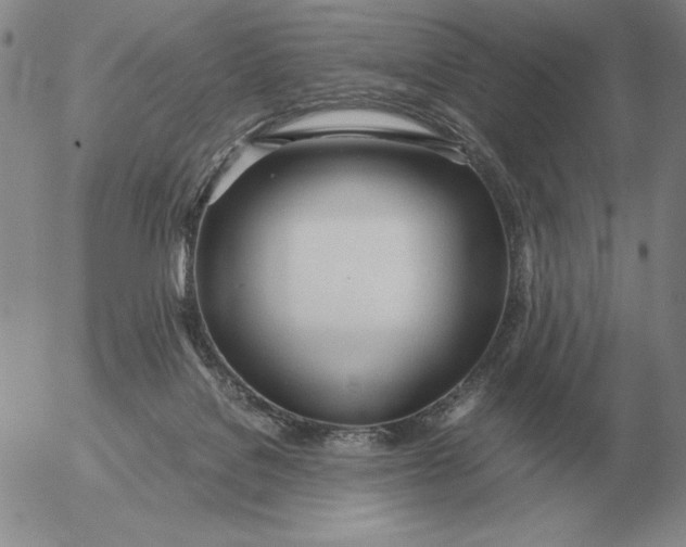 X0000053110076200508012136