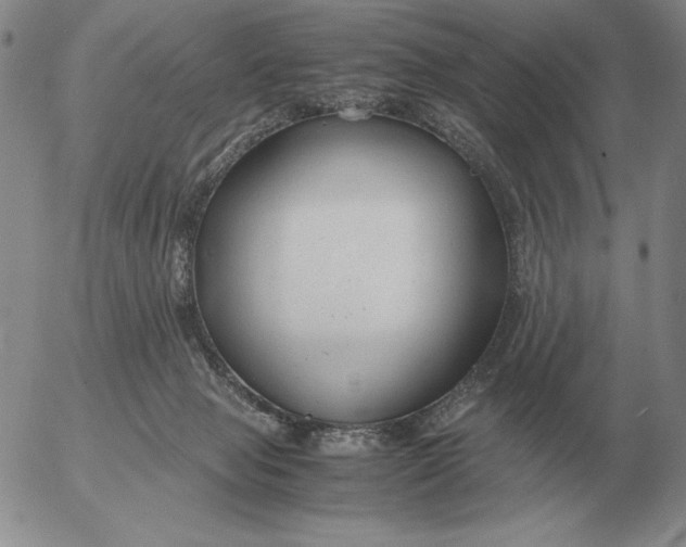 X0000053110077200508012136