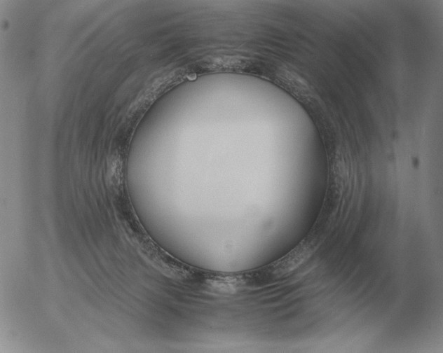 X0000053110079200508012136