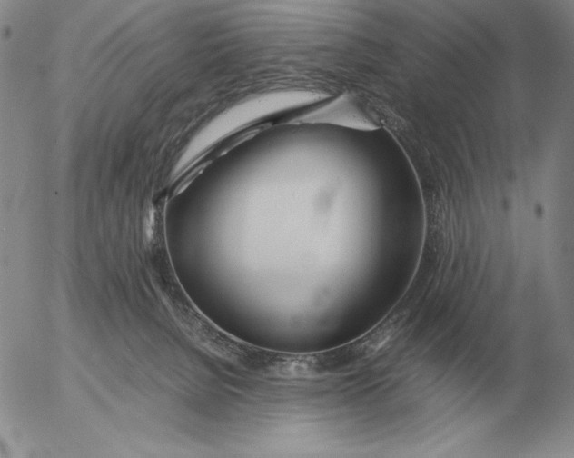 X0000053110080200508012136