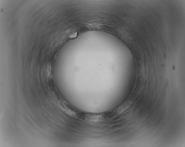 X0000053110081200508012136