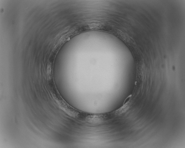 X0000053110082200508012136