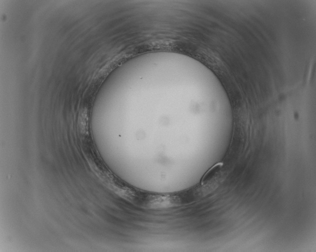 X0000053110083200508012136