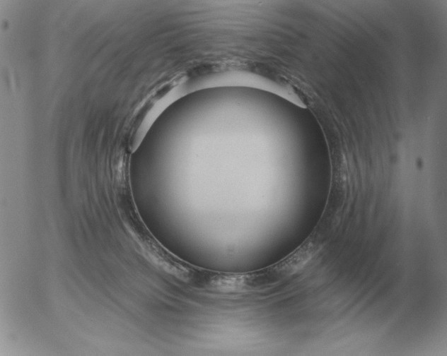 X0000053110084200508012136