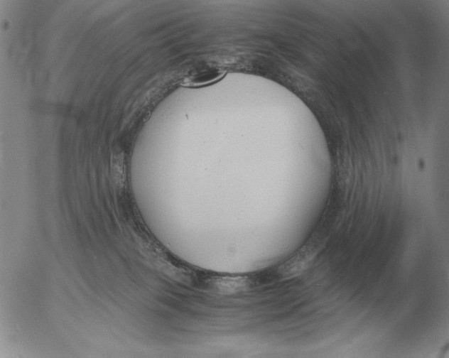 X0000053110085200508012136