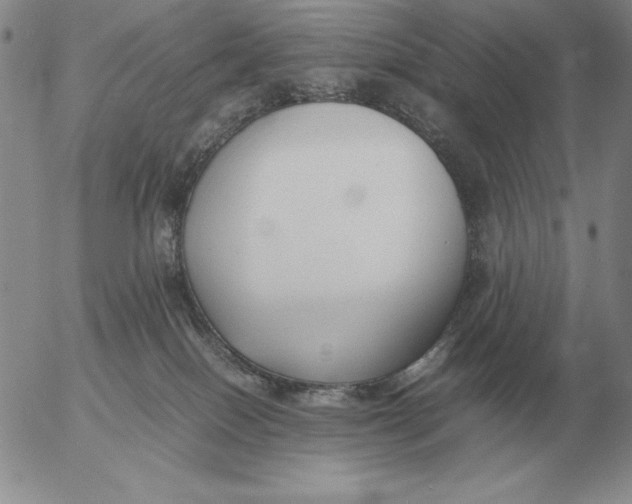 X0000053110086200508012136