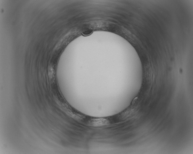 X0000053110087200508012136