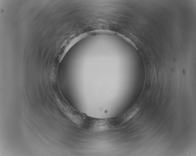 X0000053110088200508012136