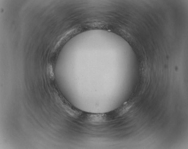 X0000053110089200508012136