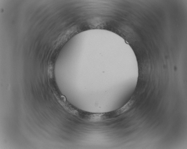 X0000053110090200508012136