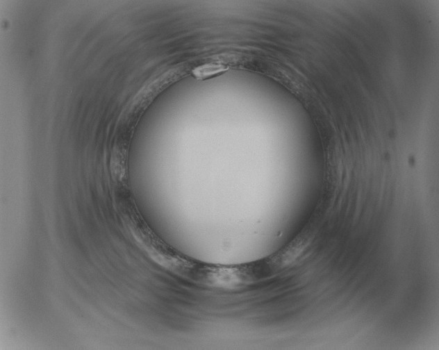 X0000053110091200508012136