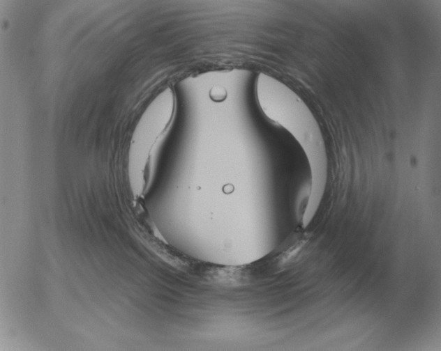 X0000053110092200508012136