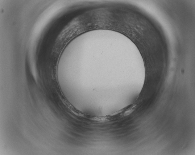 X0000053110093200508012136