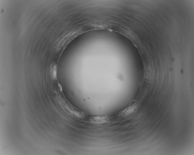 X0000053110095200508012136