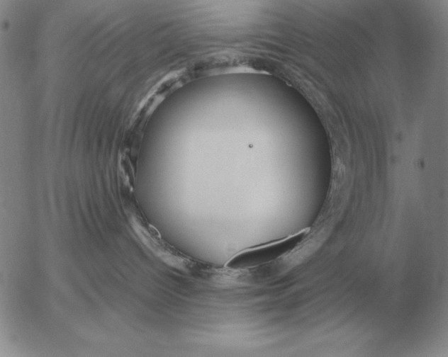 X0000053110096200508012136