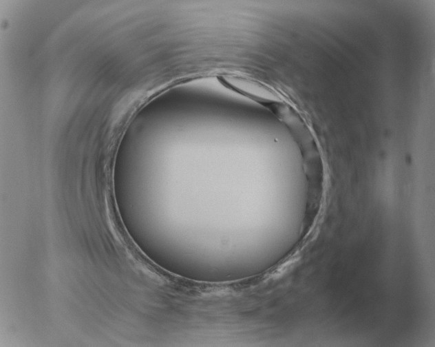 X0000053110097200508012135