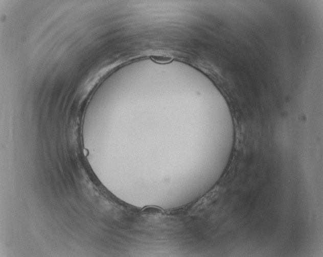 X0000053110098200508012135