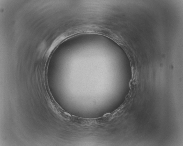 X0000053110099200508012135