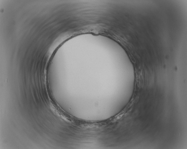 X0000053110100200508012135