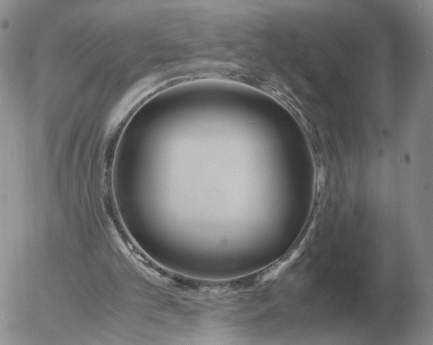 X0000053110101200508012135