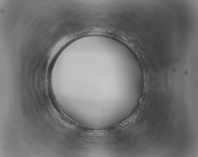 X0000053110102200508012135