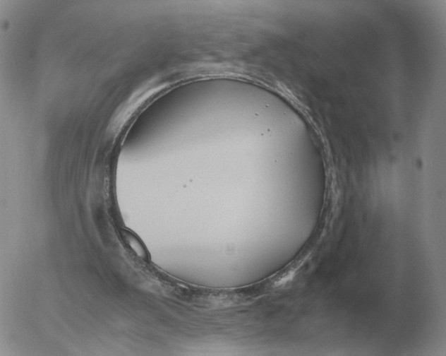 X0000053110103200508012135