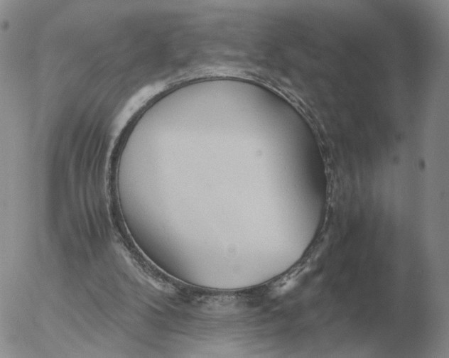 X0000053110104200508012135