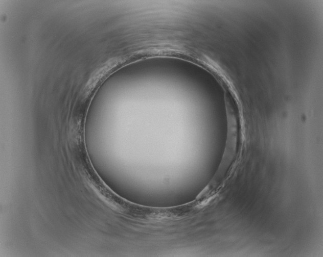 X0000053110105200508012135