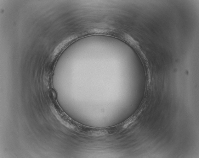 X0000053110106200508012135