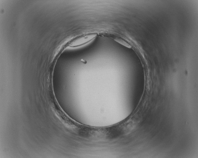 X0000053110107200508012135