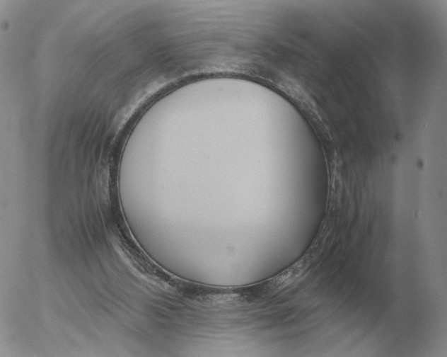 X0000053110108200508012135