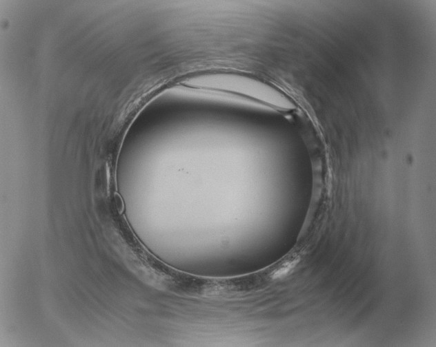 X0000053110109200508012135