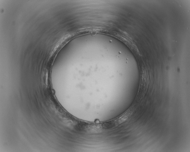 X0000053110110200508012135