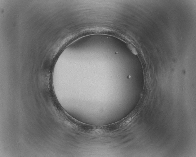 X0000053110111200508012135