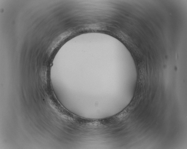 X0000053110112200508012135