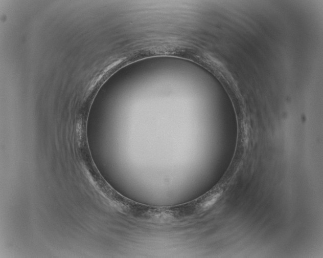 X0000053110113200508012135