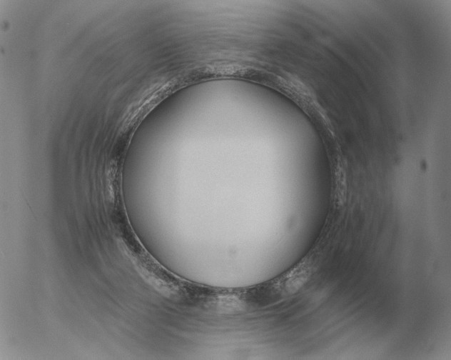 X0000053110114200508012135