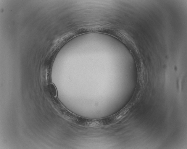 X0000053110115200508012135