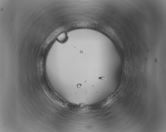 X0000053110116200508012135