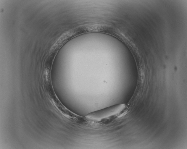 X0000053110117200508012135