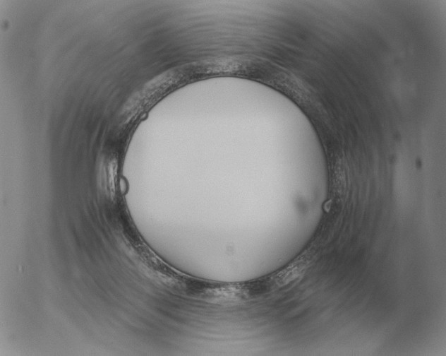 X0000053110118200508012135