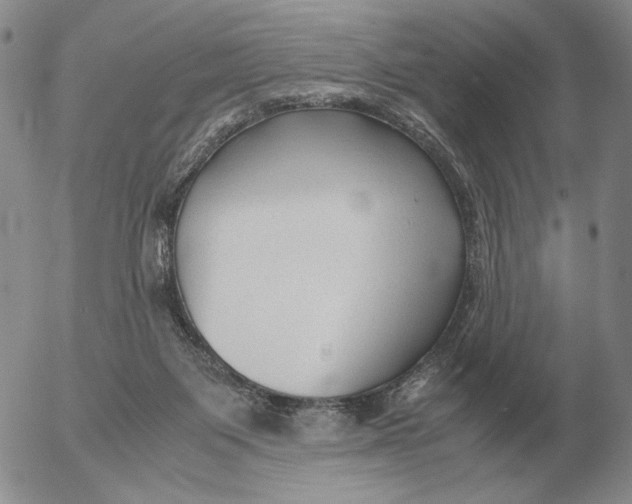 X0000053110119200508012135