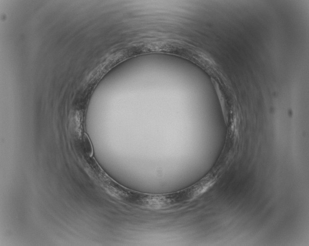 X0000053110121200508012135