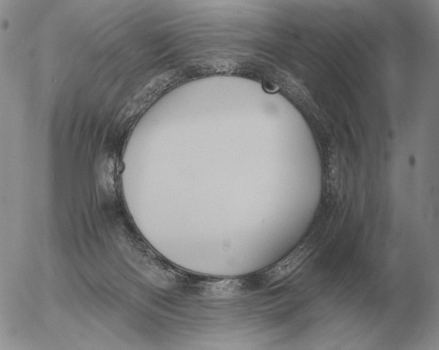 X0000053110122200508012135