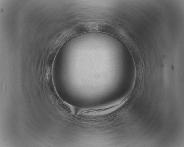 X0000053110125200508012135