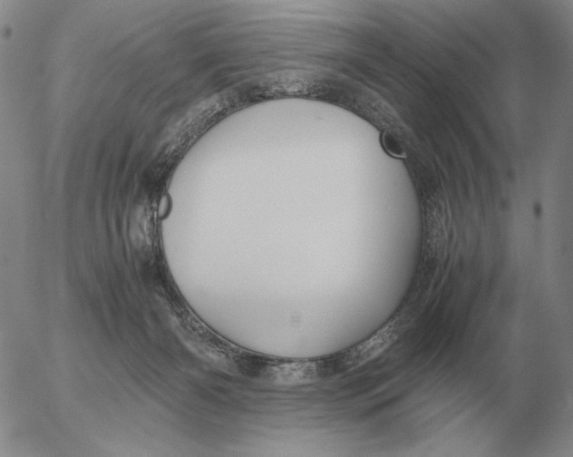 X0000053110126200508012135