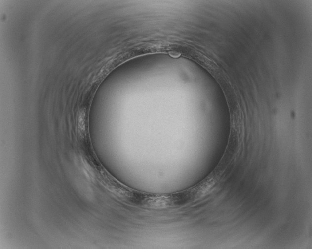 X0000053110127200508012135