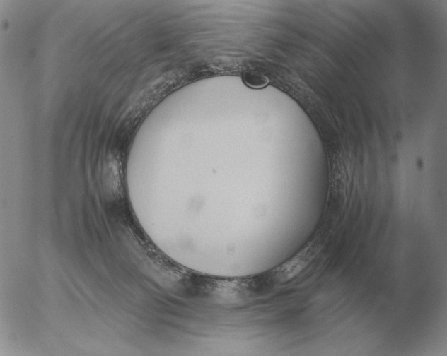 X0000053110130200508012135