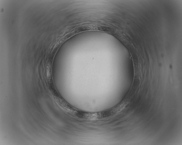 X0000053110131200508012135